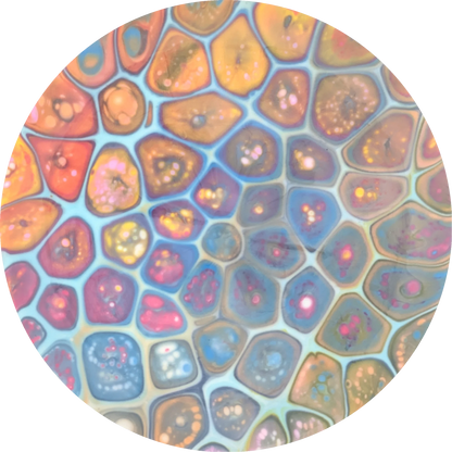 Bursprak Farver ESP Nuke Bottom Stamp