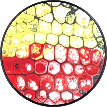 Bursprak Farver Neutron Spin