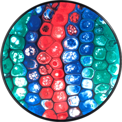 Bursprak Farver Neutron Spin