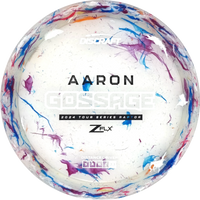 2024 Tour Series Aaron Gossage Raptor