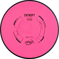 Neutron Entropy