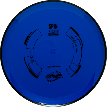 Neutron Spin