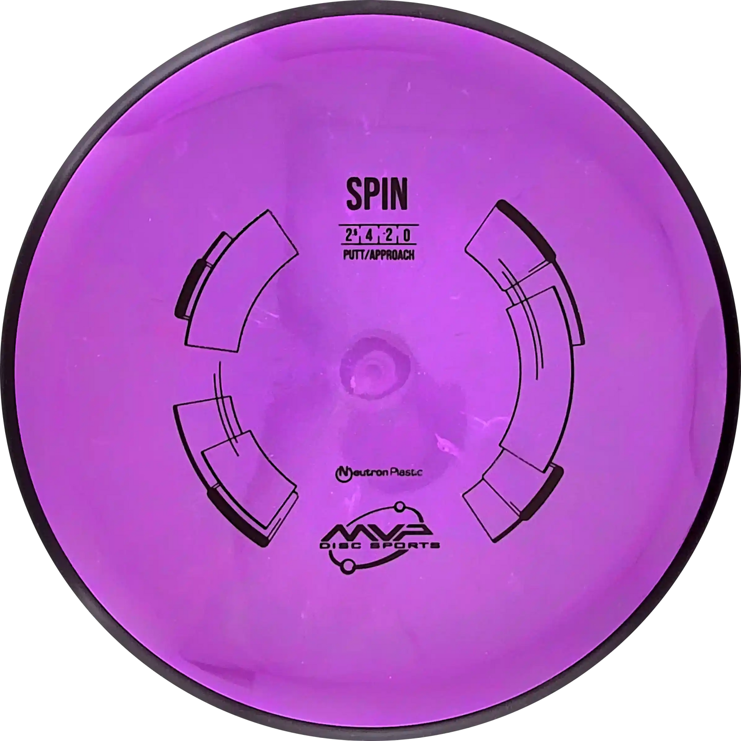 Neutron Spin