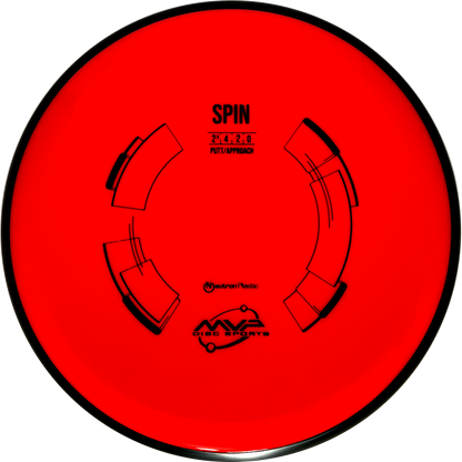 Neutron Spin