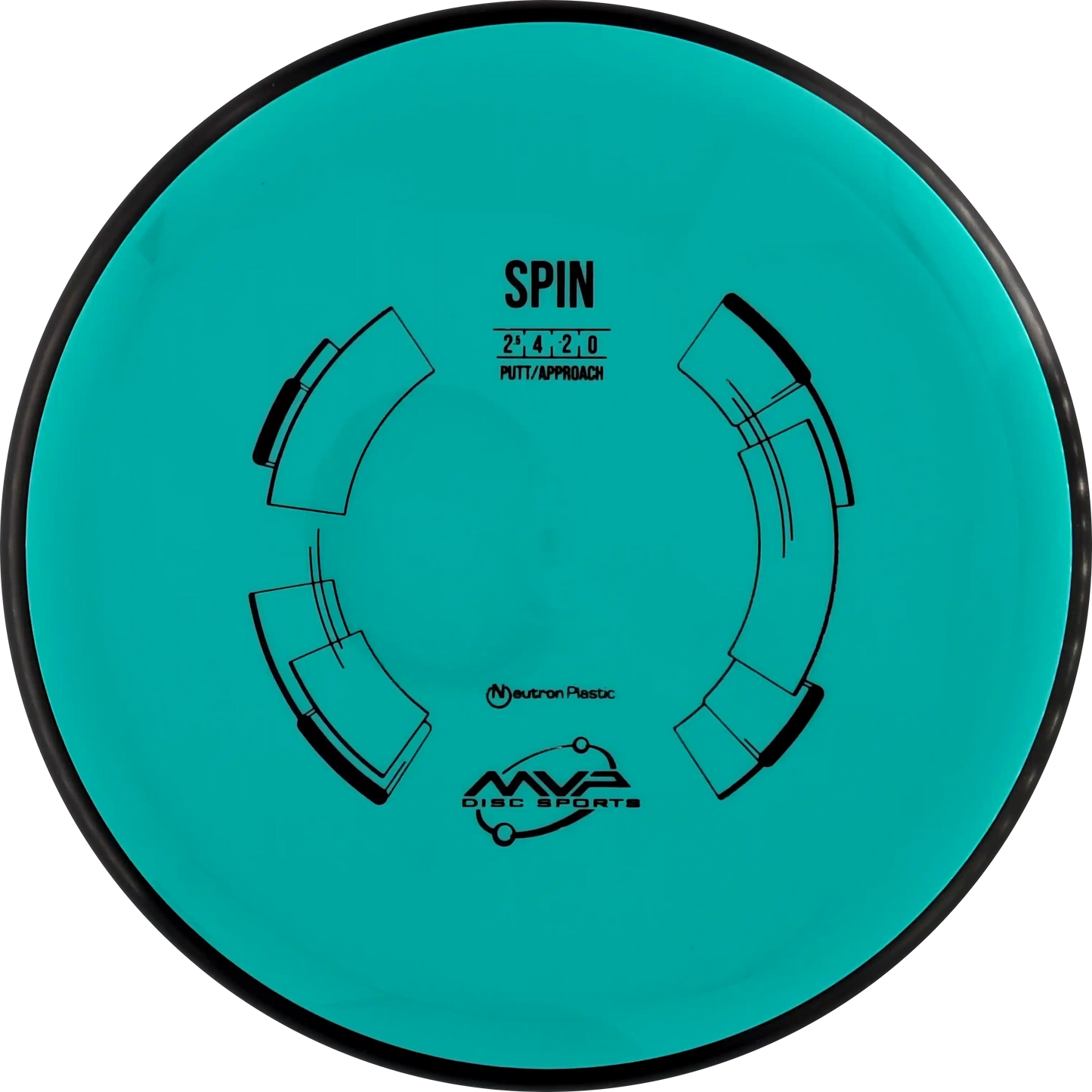 Neutron Spin