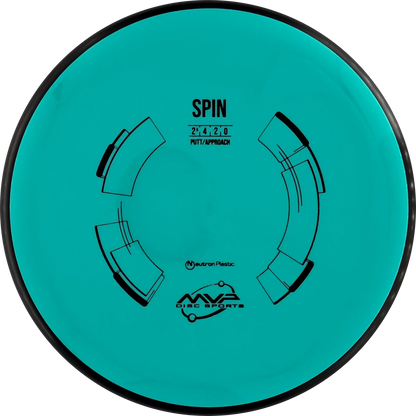 Neutron Spin