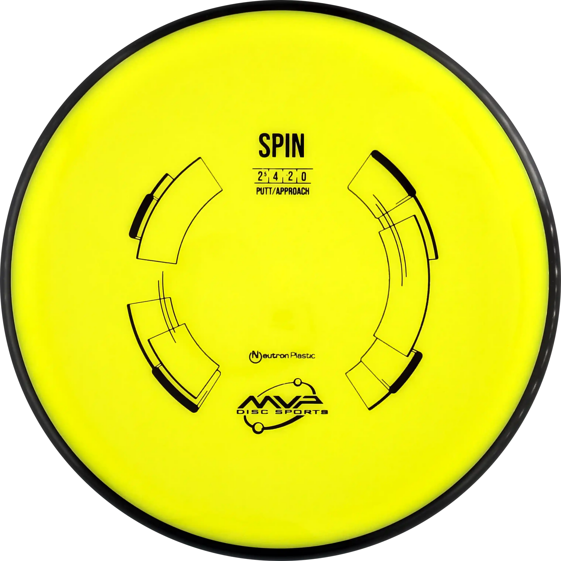 Neutron Spin